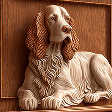 3D model st Welsh Springer Spaniel dog (STL)